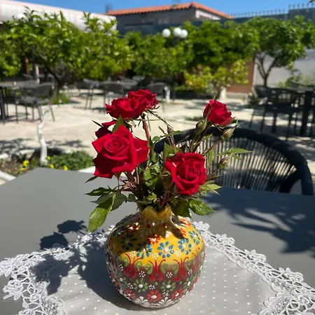 Restaurant Bujtina Portokallja Affittacamere
