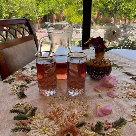 בית הארחה Restaurant Bujtina Portokallja
