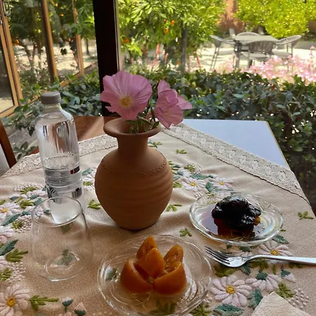 Restaurant Bujtina Portokallja
