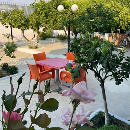 Guest house Restaurant Bujtina Portokallja Fier